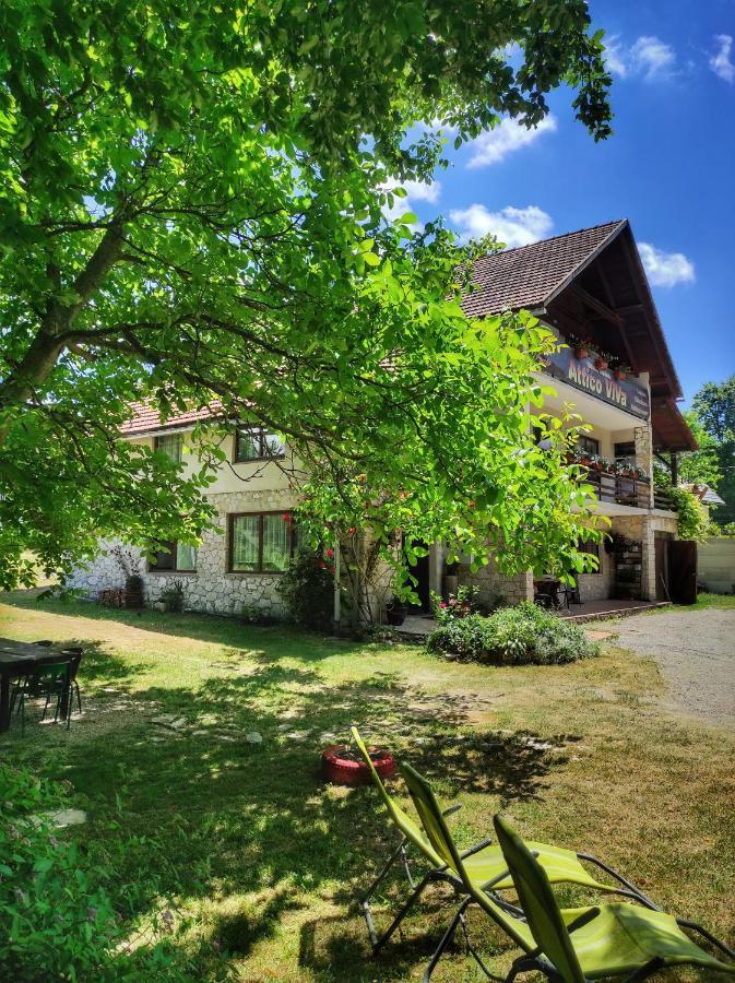 Attico Viva Bed and Breakfast Plitvička Jezera Exteriör bild